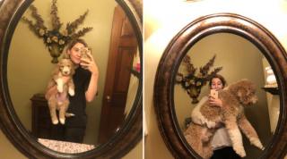 Illustration de l'article : 20 photos avant / après de chiots à la bouille craquante s'étant mués en majestueux chiens adultes