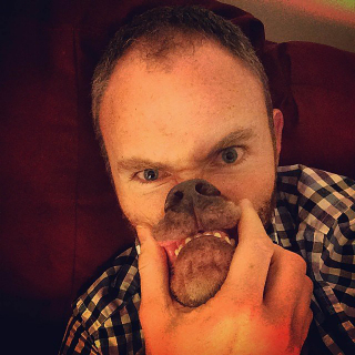 Illustration de l'article : 9 selfies déconcertants où les visages du chien et de son humain fusionnent