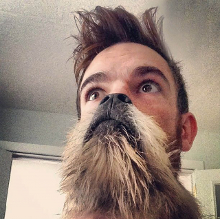 Illustration de l'article : 9 selfies déconcertants où les visages du chien et de son humain fusionnent