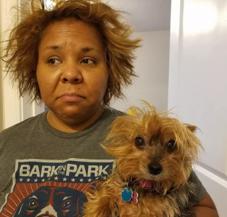 Illustration de l'article : 17 photos de chiens possédant de surprenants alter egos