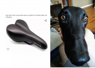 Illustration de l'article : 17 photos de chiens possédant de surprenants alter egos