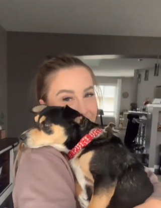 Illustration de l'article : Cette douce chienne qui n’a jamais connu le confort ne sait pas comment utiliser son nouveau coussin (vidéo)