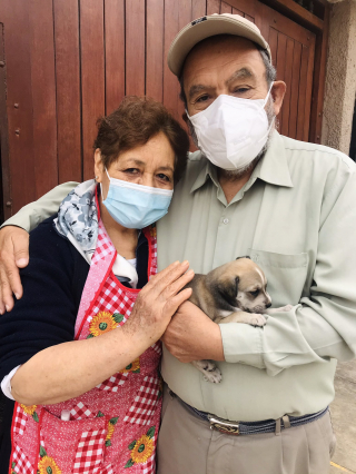Illustration de l'article : Lorsque cette septuagénaire a voulu adopter un chien, tout le monde lui a fermé la porte, sauf un homme (vidéo)