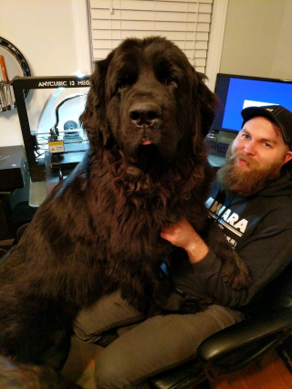 Illustration de l'article : 20 photos montrant qu'on ne peut pas ne pas tomber amoureux du Terre-Neuve