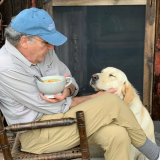 Illustration de l'article : 20 photos de chiens qui adoptent leur regard à la fois triste et séducteur dès qu'ils vous voient manger quelque chose