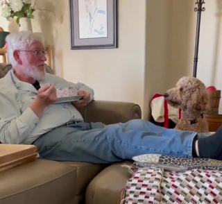 Illustration de l'article : 20 photos de chiens qui adoptent leur regard à la fois triste et séducteur dès qu'ils vous voient manger quelque chose