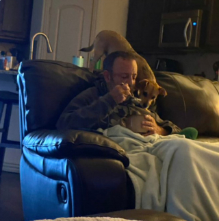 Illustration de l'article : 20 photos de chiens qui adoptent leur regard à la fois triste et séducteur dès qu'ils vous voient manger quelque chose