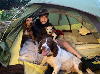 Illustration de l'article : Depuis plus d'un an, cet adolescent dort dans une tente pour sensibiliser à la cause des chiens errants et récolter des fonds