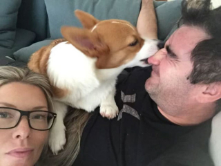 Illustration de l'article : Ces 20 Corgis ne sont pas du tout contents et tiennent à vous le faire savoir