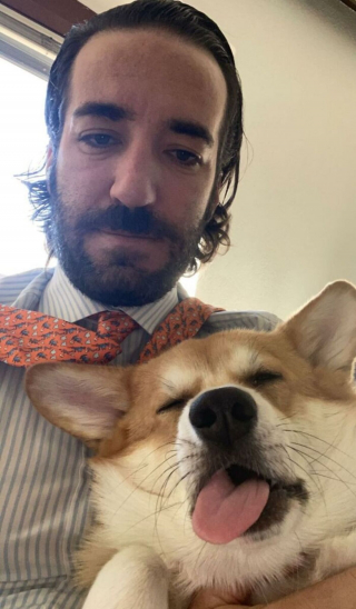 Illustration de l'article : Ces 20 Corgis ne sont pas du tout contents et tiennent à vous le faire savoir