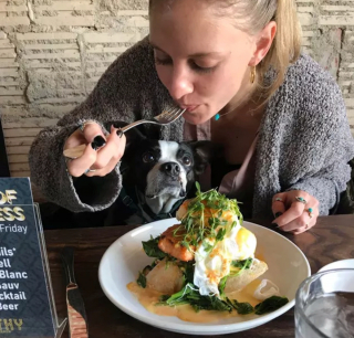 Illustration de l'article : 15 photos de chiens prêts à tout pour vous convaincre de les laisser goûter à ce que vous mangez