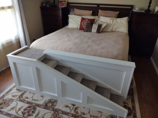 Illustration de l'article : Un ingénieur met ses compétences à profit pour faciliter la vie de sa chienne âgée