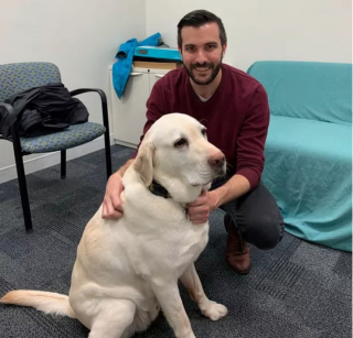 Illustration de l'article : 19 photos offrant un aperçu de l'héroïsme quotidien de nos chiens