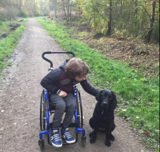 Illustration de l'article : 19 photos offrant un aperçu de l'héroïsme quotidien de nos chiens