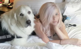 Illustration de l'article : 19 photos offrant un aperçu de l'héroïsme quotidien de nos chiens