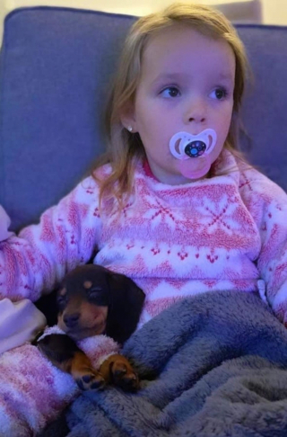 Illustration de l'article : Rio et Fleur sont comme toutes les sœurs complices, à la seule différence que l’une est humaine et l’autre est un Teckel