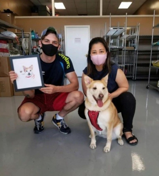 Illustration de l'article : Cette petite chienne frôle l’euthanasie et attend depuis 1176 jours de trouver la famille d’accueil qui voudra bien la garder pour la vie