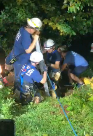 Illustration de l'article : Un chien en détresse secouru par des pompiers après une chute dans un puits de 6 mètres