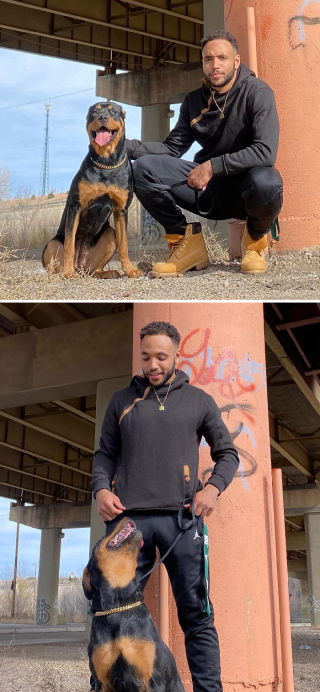 Illustration de l'article : 13 ravissantes photos réunissant des chiens et leur version humaine