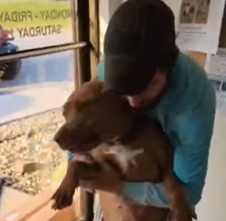 Illustration de l'article : La solidarité sur les réseaux sociaux permet aux promeneurs de ramener Jolene, le précieux chien d'assistance volé, à son propriétaire soulagé