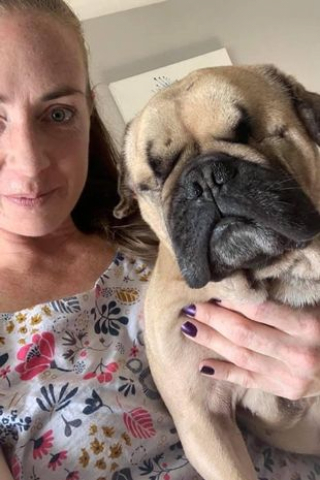 Illustration de l'article : Ce Bouledogue Français devenu aveugle et quasiment sourd après avoir été maltraité ne voulait plus être approché par un humain