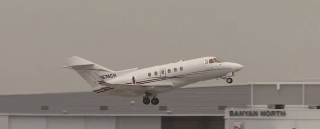 Illustration de l'article : Le sauvetage de Teddy, ce chien qui réconfortait les victimes et se retrouve aujourd'hui blessé 