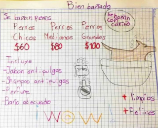 Illustration de l'article : Un petit prodige crée son propre salon de toilettage pour chiens afin de financer ses études en médecine vétérinaire