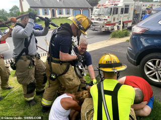 Illustration de l'article : Un adorable chiot Samoyède provoque l'intervention des pompiers pour le sortir d'une situation cocasse