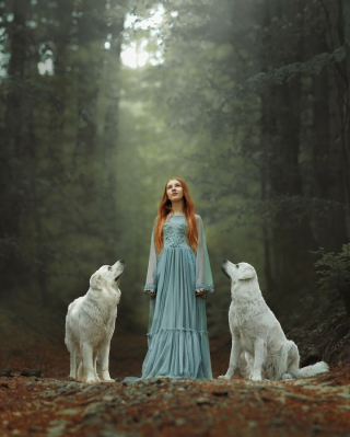 Illustration de l'article : 20 photos de chiens mis en scène dans des décors oniriques et enchanteurs