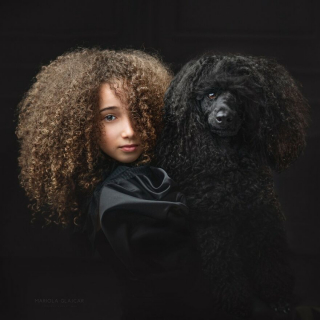 Illustration de l'article : 20 photos de chiens mis en scène dans des décors oniriques et enchanteurs