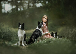 Illustration de l'article : 20 photos de chiens mis en scène dans des décors oniriques et enchanteurs