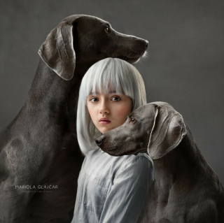 Illustration de l'article : 20 photos de chiens mis en scène dans des décors oniriques et enchanteurs