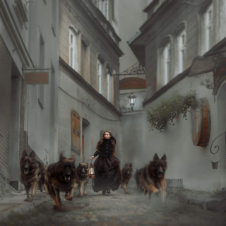 Illustration de l'article : 20 photos de chiens mis en scène dans des décors oniriques et enchanteurs