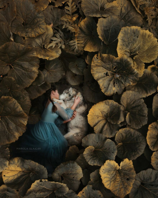 Illustration de l'article : 20 photos de chiens mis en scène dans des décors oniriques et enchanteurs