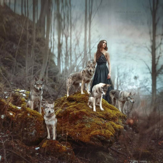 Illustration de l'article : 20 photos de chiens mis en scène dans des décors oniriques et enchanteurs