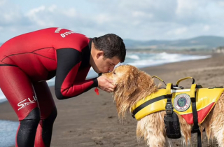 Illustration de l'article : Baloo est un chien spécial : il a pour mission de surveiller les plages d’Italie et n’hésite pas à intervenir pour sauver les nageurs de la noyade
