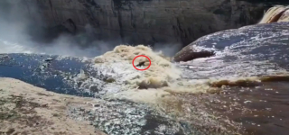 Illustration de l'article : Ce chien est retrouvé sain et sauf malgré sa chute de plus de 30m de hauteur depuis les chutes Alexandra de South Slave !