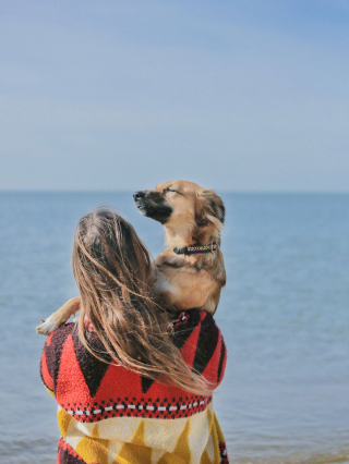 Illustration de l'article : 20 photos de Tofu, chienne de refuge férue de promenades aux bras de sa maîtresse