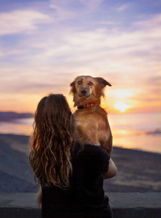 Illustration de l'article : 20 photos de Tofu, chienne de refuge férue de promenades aux bras de sa maîtresse