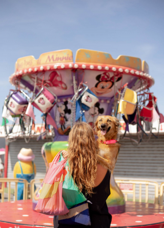 Illustration de l'article : 20 photos de Tofu, chienne de refuge férue de promenades aux bras de sa maîtresse