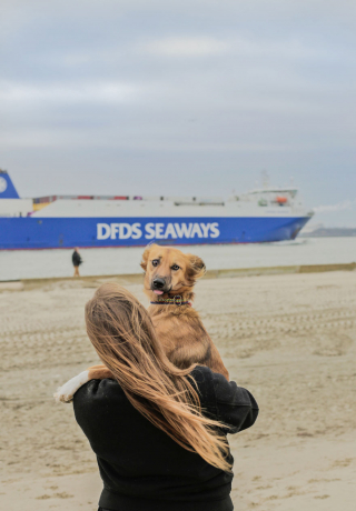 Illustration de l'article : 20 photos de Tofu, chienne de refuge férue de promenades aux bras de sa maîtresse