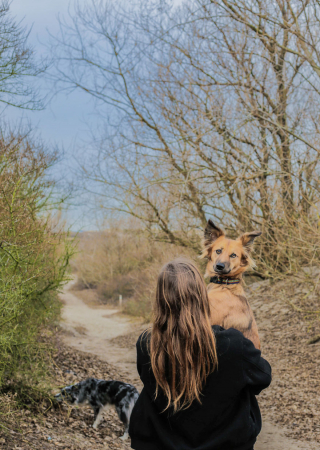 Illustration de l'article : 20 photos de Tofu, chienne de refuge férue de promenades aux bras de sa maîtresse