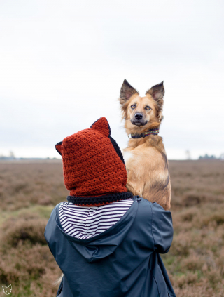 Illustration de l'article : 20 photos de Tofu, chienne de refuge férue de promenades aux bras de sa maîtresse