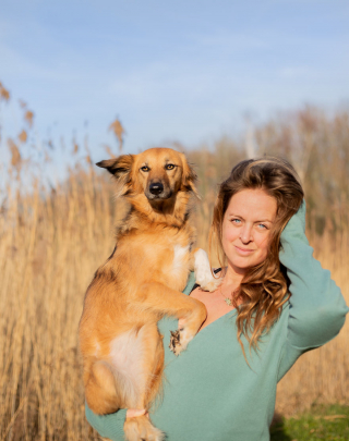 Illustration de l'article : 20 photos de Tofu, chienne de refuge férue de promenades aux bras de sa maîtresse