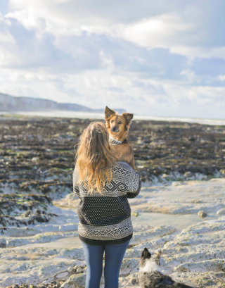 Illustration de l'article : 20 photos de Tofu, chienne de refuge férue de promenades aux bras de sa maîtresse