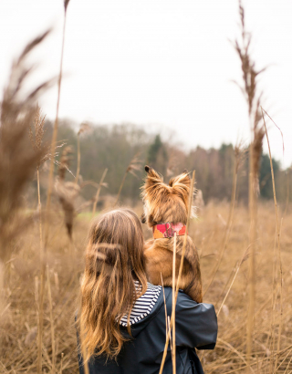 Illustration de l'article : 20 photos de Tofu, chienne de refuge férue de promenades aux bras de sa maîtresse