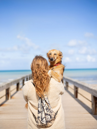 Illustration de l'article : 20 photos de Tofu, chienne de refuge férue de promenades aux bras de sa maîtresse