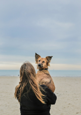 Illustration de l'article : 20 photos de Tofu, chienne de refuge férue de promenades aux bras de sa maîtresse