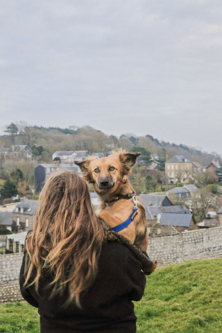 Illustration de l'article : 20 photos de Tofu, chienne de refuge férue de promenades aux bras de sa maîtresse