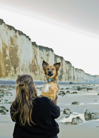 Illustration de l'article : 20 photos de Tofu, chienne de refuge férue de promenades aux bras de sa maîtresse